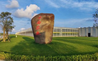 上海由由科技 上海熔垠文化科技有限公司成立，注册资本200万人民币