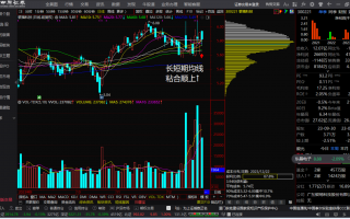 上银禧科技 银禧科技股价上涨288% 股东提议引入战略控股方