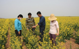 陕西荣华农业科技有限公司股东 花园村庄处处有，“美丽经济”时时新