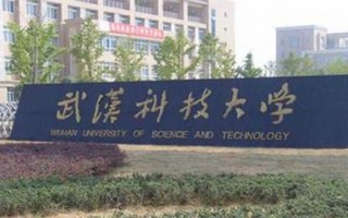 武汉科技大学艺术，武汉科技大学艺术类录取分数线