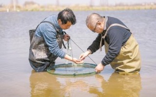 黑八戒科技 水上春耕正当时，江西省名特优水产品体系积极服务基层